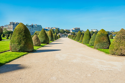 Alley with trimmed bushes, an Architecture Photo by Vapi