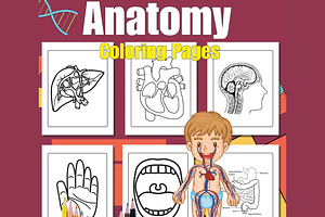 Anatomy Coloring Pages for kids, an Education Illustration by Sourcedigi