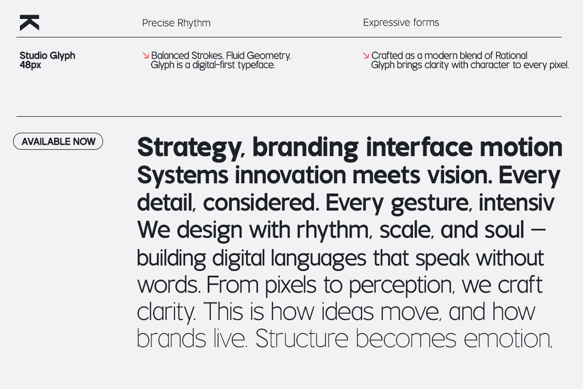 TT Rustic Grotesque Sans, a Sans Serif Font by truetype (Photo 13 of 15)