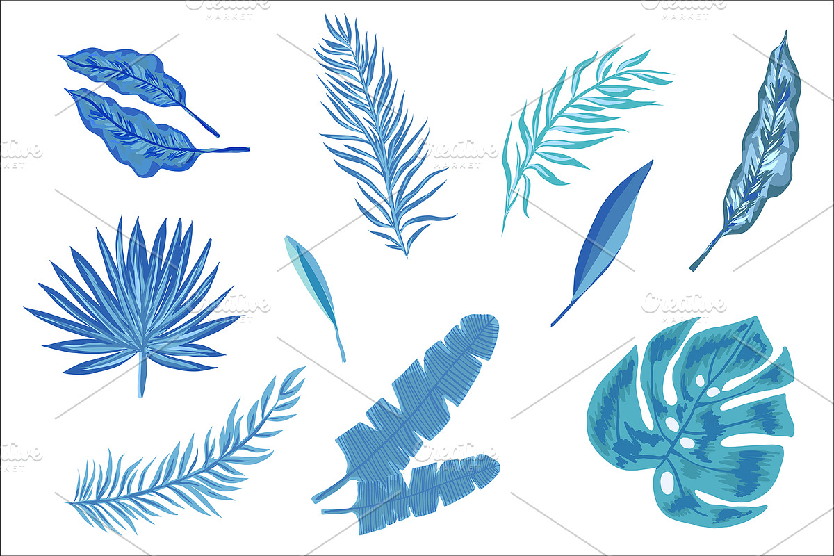 Rainforest Tropical Leaves set, a Decorative Illustration by mcherevan (Photo 2 of 4)