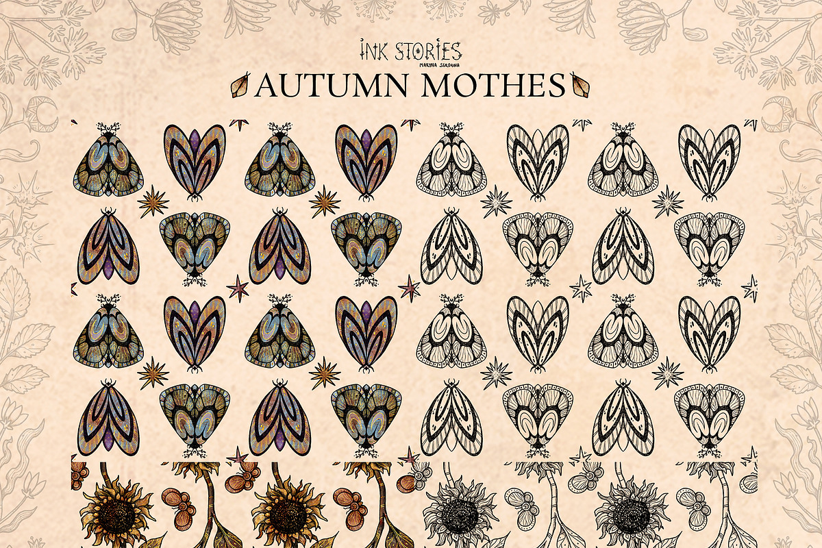 Autumn Moths & Dried Botanicals, an Animal Illustration by Ink Stories (Photo 12 of 18)