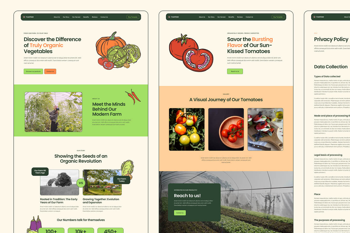 FreshField // Food Business Template, a Landing Page Template by EGO Creative Innovations (Photo 4 of 6)