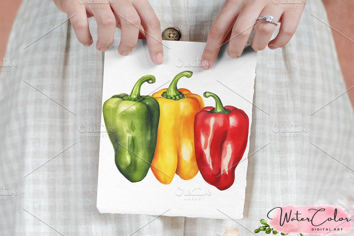 Vegetables Collection Clipart, a Food Illustration by Watercolor Digital (Photo 6 of 9)