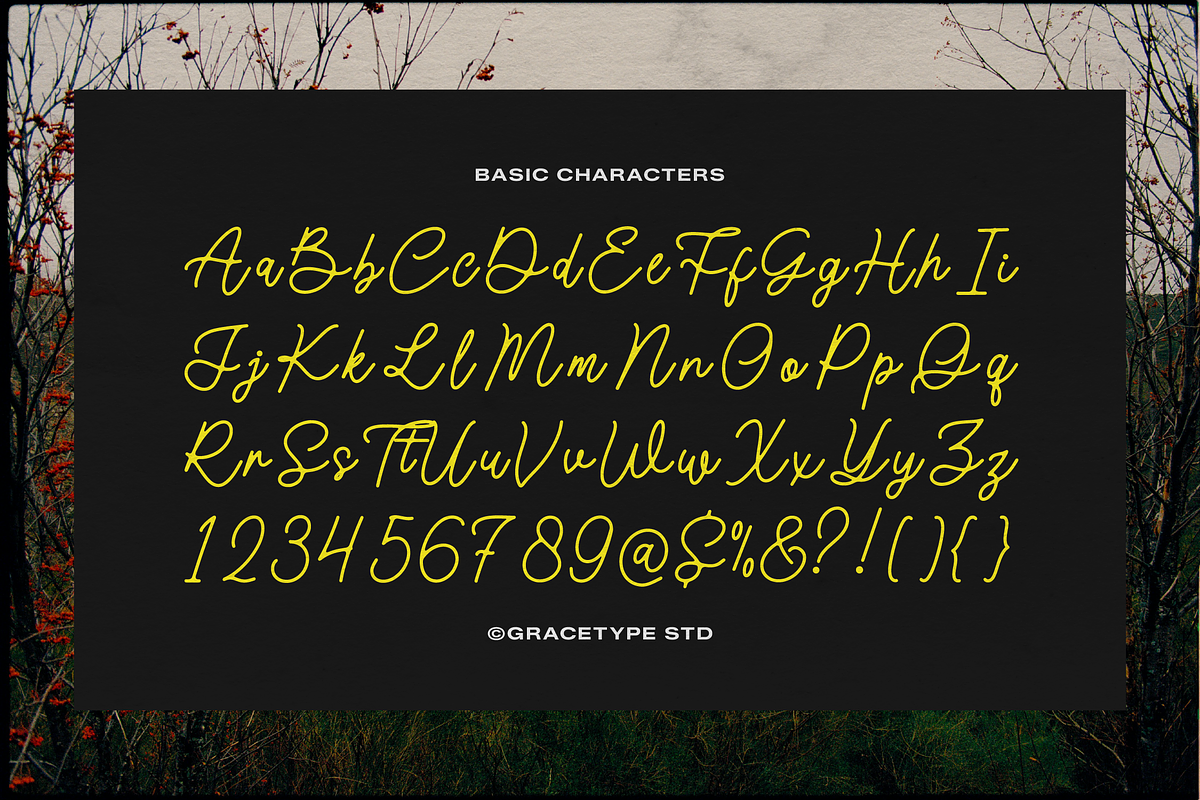 Morlintado | Monoline Script, a Script Font by gracetype_studio (Photo 10 of 12)