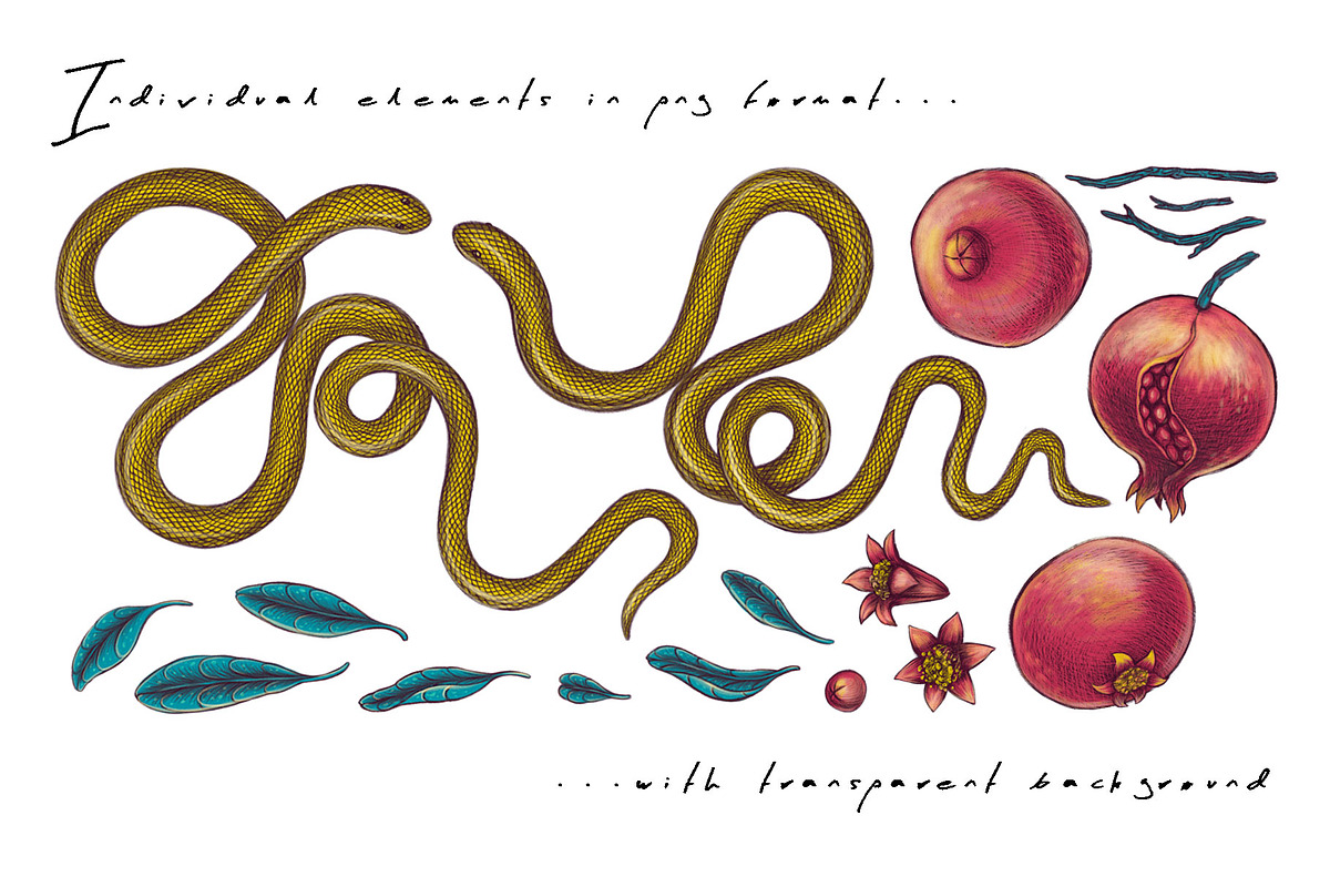 POMEGRANATE EDEN - patterns & motifs, a Decorative Illustration by Liiafis (Photo 10 of 15)