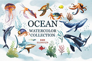 Underwater world watercolor collecti, an Animal Illustration by IrynaPanashii (Thumbnail 1 of 16)