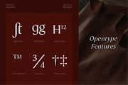GC Prometheus – Serif Family, a Serif Font by Glyphonic (Thumbnail 8 of 15)