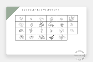 Succulent Procreate Stamps PNG