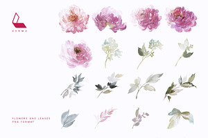 Watercolour Peonies Set