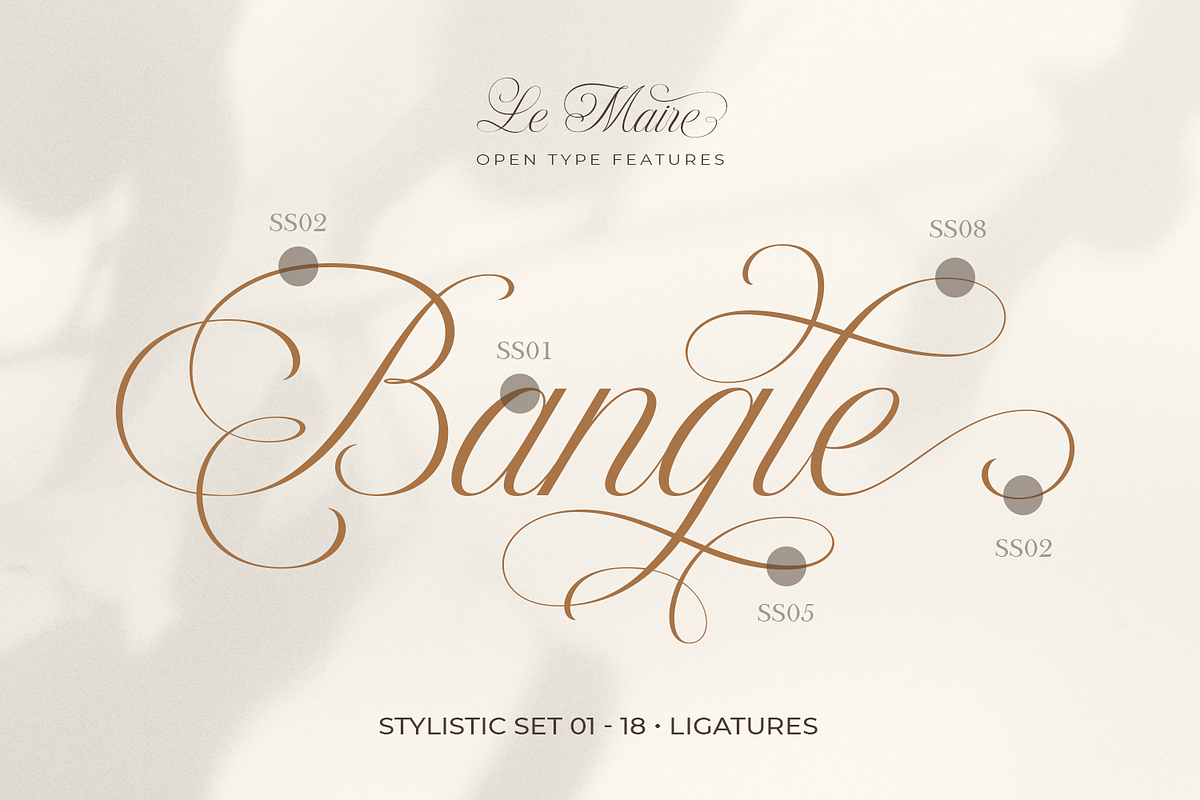 Le Maire - Modern Cursive Script, a Script Font by Pixesia Studio (Photo 5 of 11)