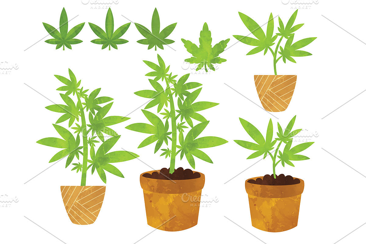 Cannabis Medical Marijuana Clipart, a Healthcare Illustration by SugarPickle Clip Art (Photo 4 of 5)