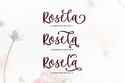 Maria Heart - Romantic Script, a Script Font by Bale Type (Thumbnail 3 of 9)