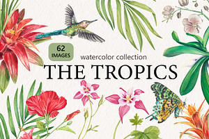 Tropic flower watercolor clip art