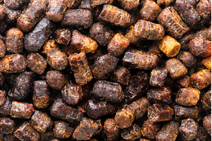 Bee bread background. Top view, a Food & Drink Photo by innakreativ
