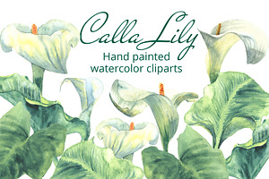 Calla Lily Watercolor