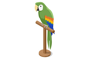 Green Parrot on Perch. A vibrant, an Animal Illustration by Golden Sikorka