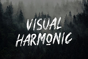 Montanas Brush Font, a Sans Serif Font by Indotitas (Thumbnail 3 of 6)