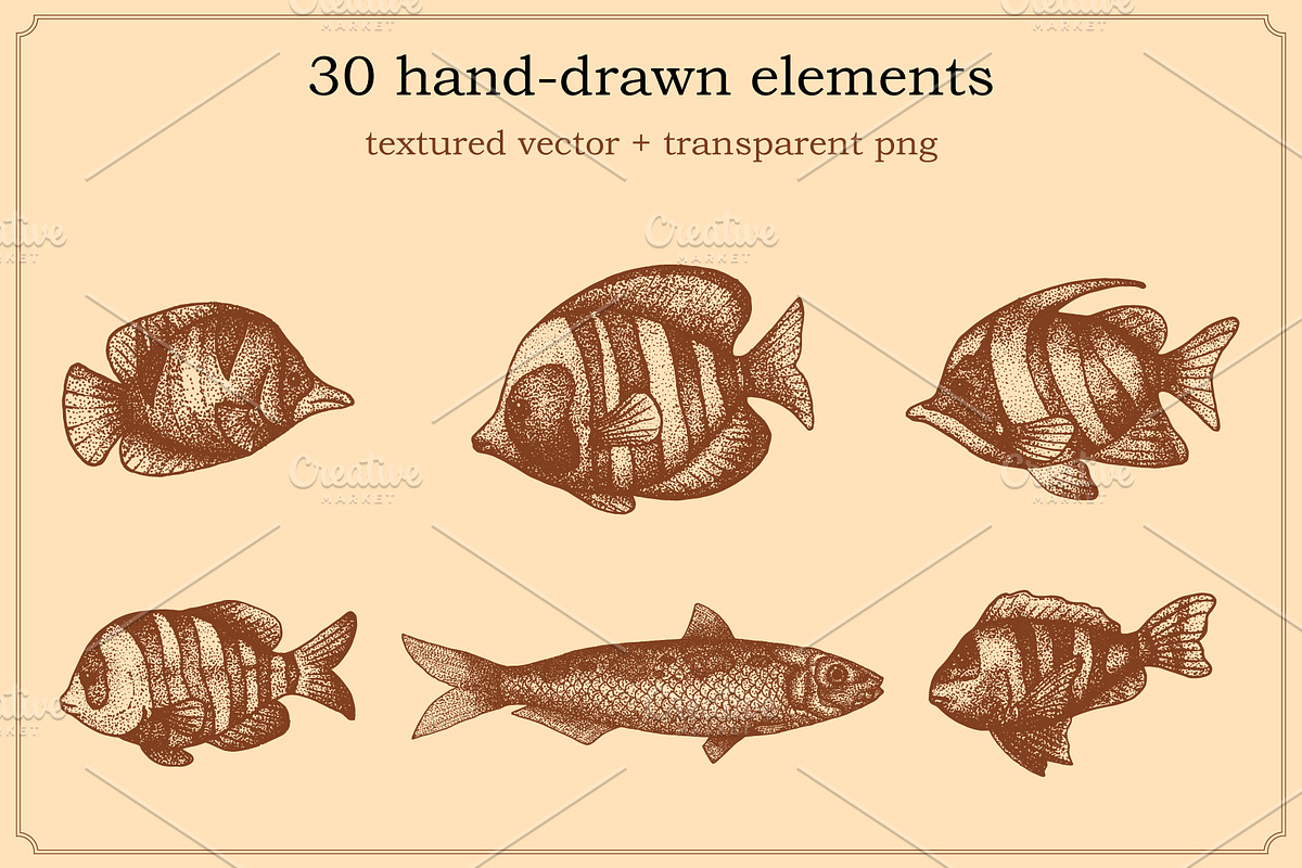 Marine Animal Hand Drawn Elements, an Animal Illustration by Artolabs (Photo 3 of 6)
