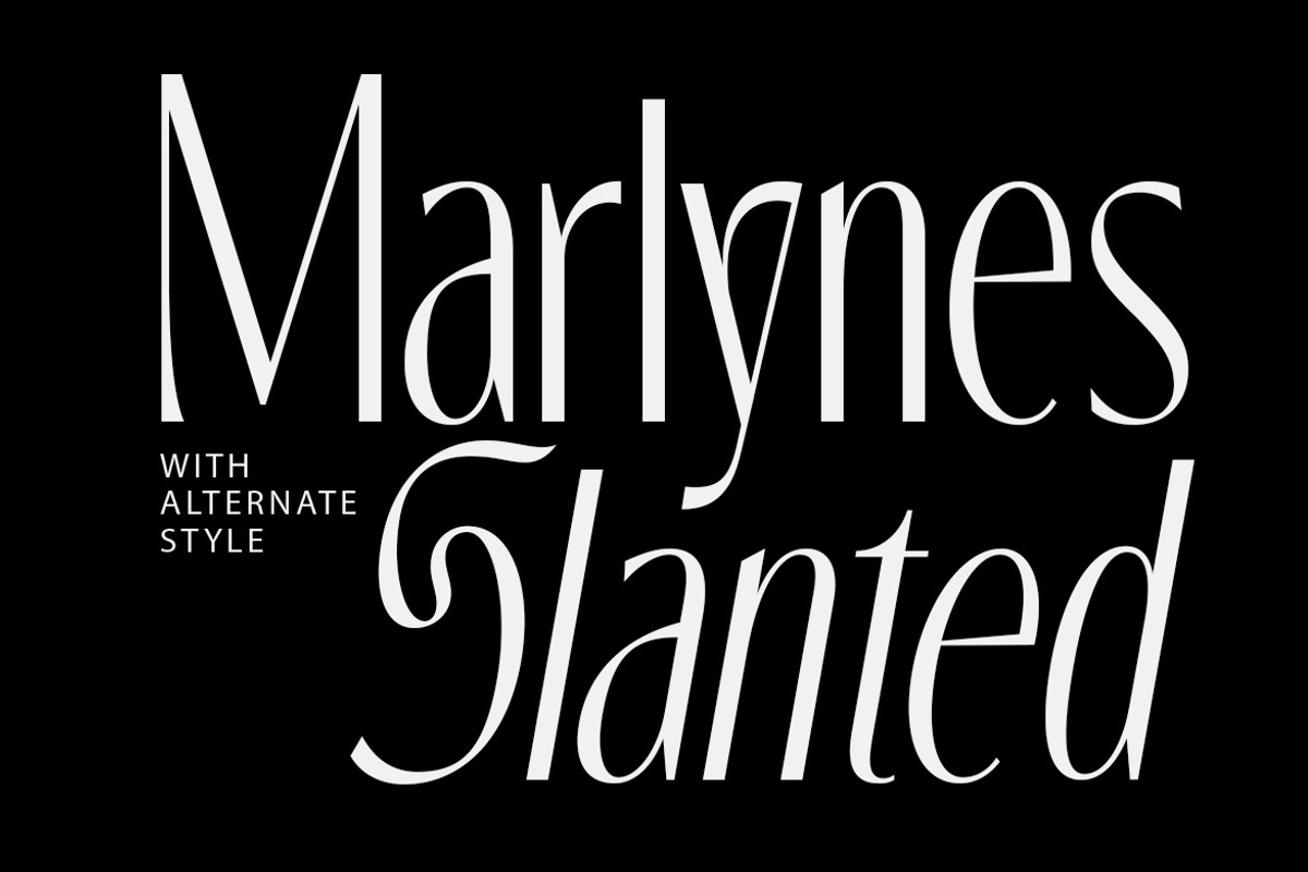 The Marlynes Classy Elegant Serif, a Serif Font by Letterhend Studio (Photo 5 of 9)