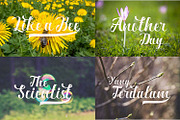 Ardina Script, a Script Font by Font Bundles (Thumbnail 5 of 5)