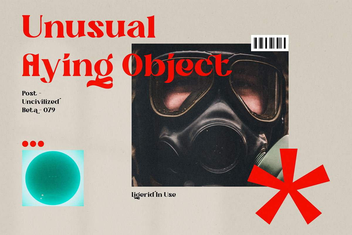 Ligerid - Chic Serif Font, a Serif Font by Eztudio (Photo 9 of 14)