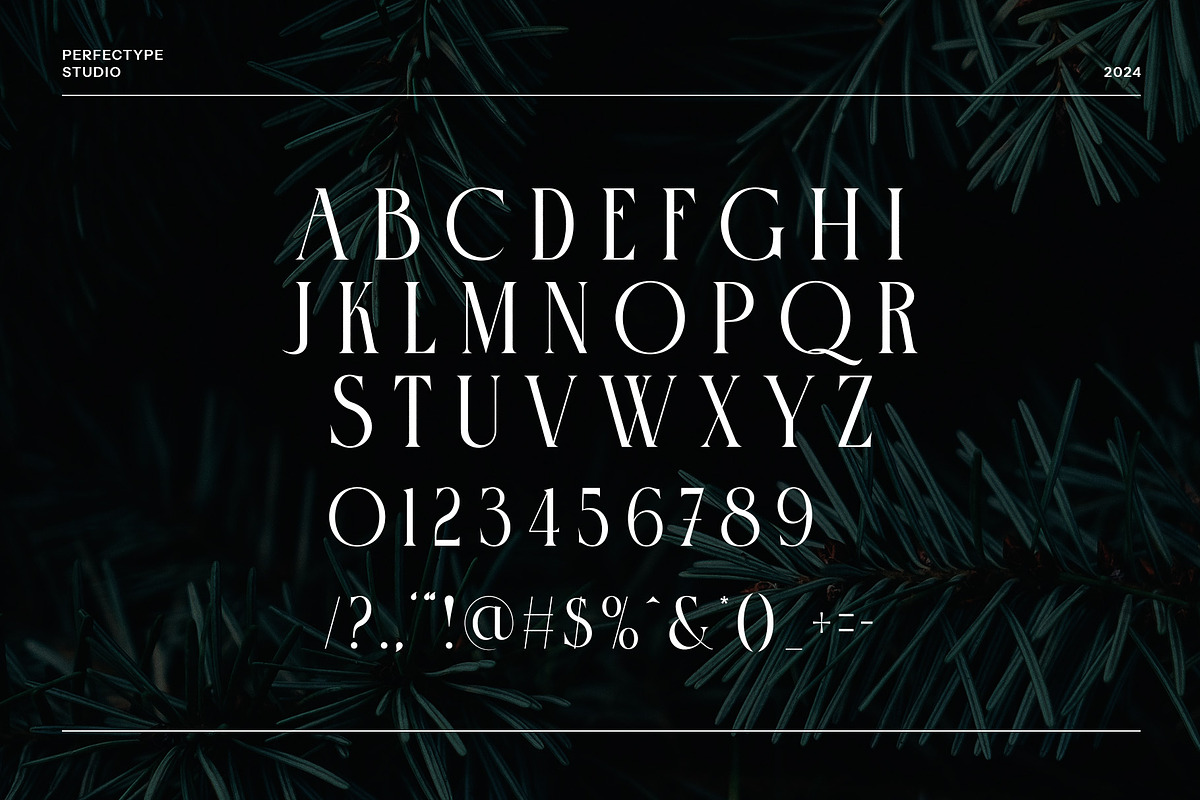 The Chrisera Stylish Serif Font, a Serif Font by Perfectype (Photo 7 of 8)