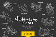 40 spices and herbs on dark, a Food Illustration by Primula`s shop (Thumbnail 2 of 2)