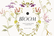Wildflower spring watercolor florals, a Decorative Illustration by Grace Noboa Illustrations (Thumbnail 1 of 9)