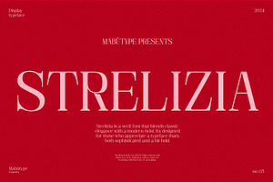 Strelizia - Display Typeface