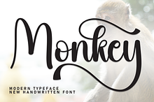 Monkey | Script Font