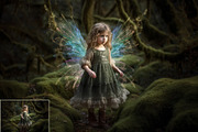 Colorful Fairy Wings, a Texture Graphic by HappyNews (Thumbnail 8 of 10)