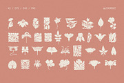 Decorative Botanica 75 Floral Motifs, a Decorative Illustration by likorbut (Thumbnail 4 of 9)