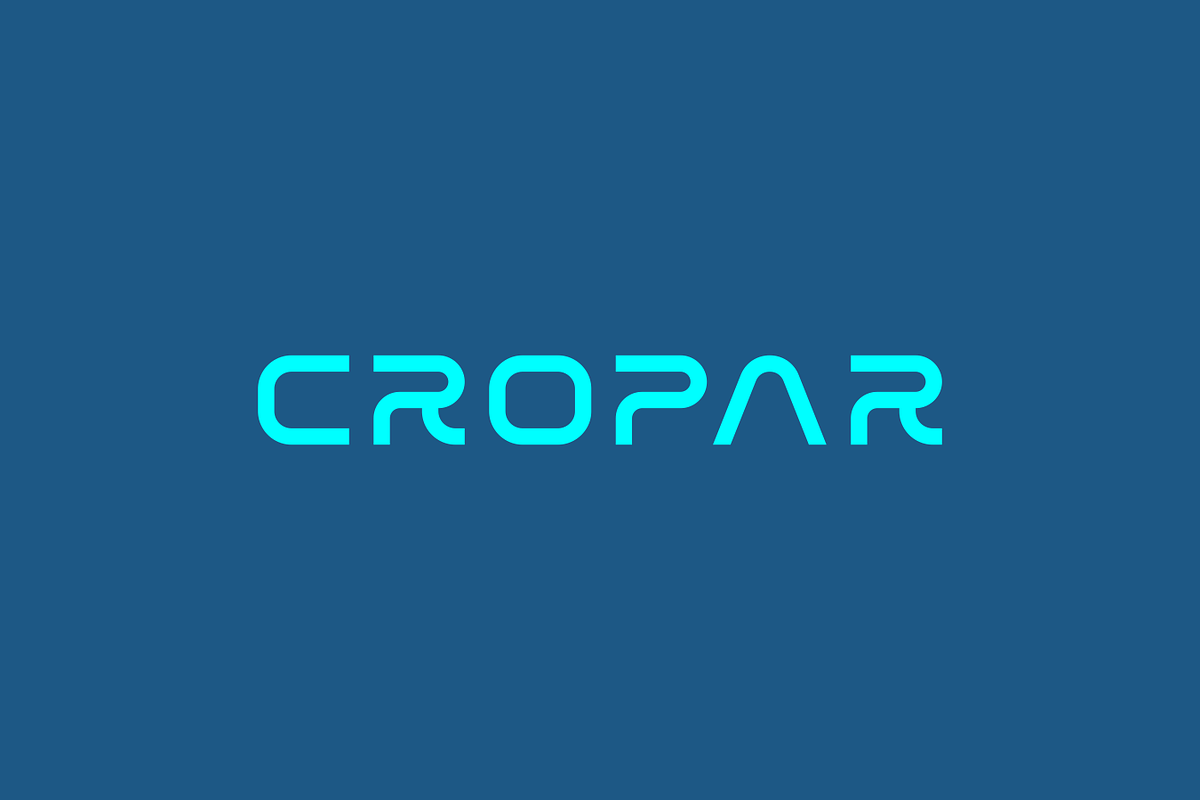Roparo - Modern Display Typeface, a Sans Serif Font by Letterna (Photo 2 of 4)