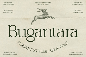 Bugantara - Elegant Thin Serif Font