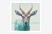 Mena Collection · Totem Animals, an Animal Illustration by milatovar (Thumbnail 2 of 19)