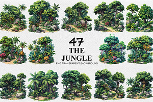 Jungle Forest Clipart