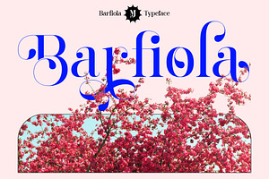 Barfiola Typeface