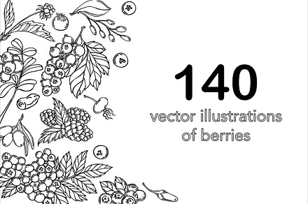 Vector berries