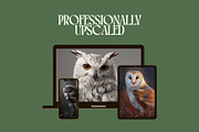 45 Majestic Owl Stock Photos, an Animal Photo by Incomelion (Thumbnail 3 of 13)