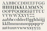 Serifant Family | Intro 50% OFF, a Serif Font by Lettertype Studio (Thumbnail 7 of 15)