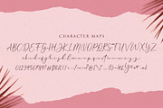 Cherolina-Lovely Elegant Script, a Script Font by Almarkhatype (Thumbnail 10 of 13)
