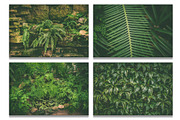 Botanical background bundle 20 jpg, a Nature Photo by WildStrawberry Magic (Thumbnail 2 of 6)