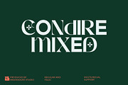 Condire Mixed – Display Font, a Serif Font by Brainwaves.Studio (Thumbnail 1 of 9)