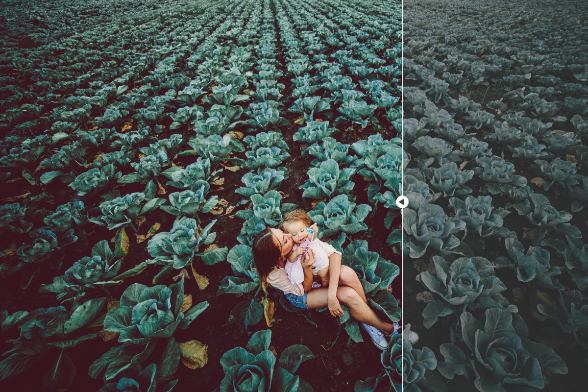 175 Summer Tones Lightroom Presets, an Action Add-On by Pro Add-Ons (Photo 10 of 26)