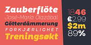 Chopsee, a Sans Serif Font by TypeUnion (Thumbnail 5 of 9)