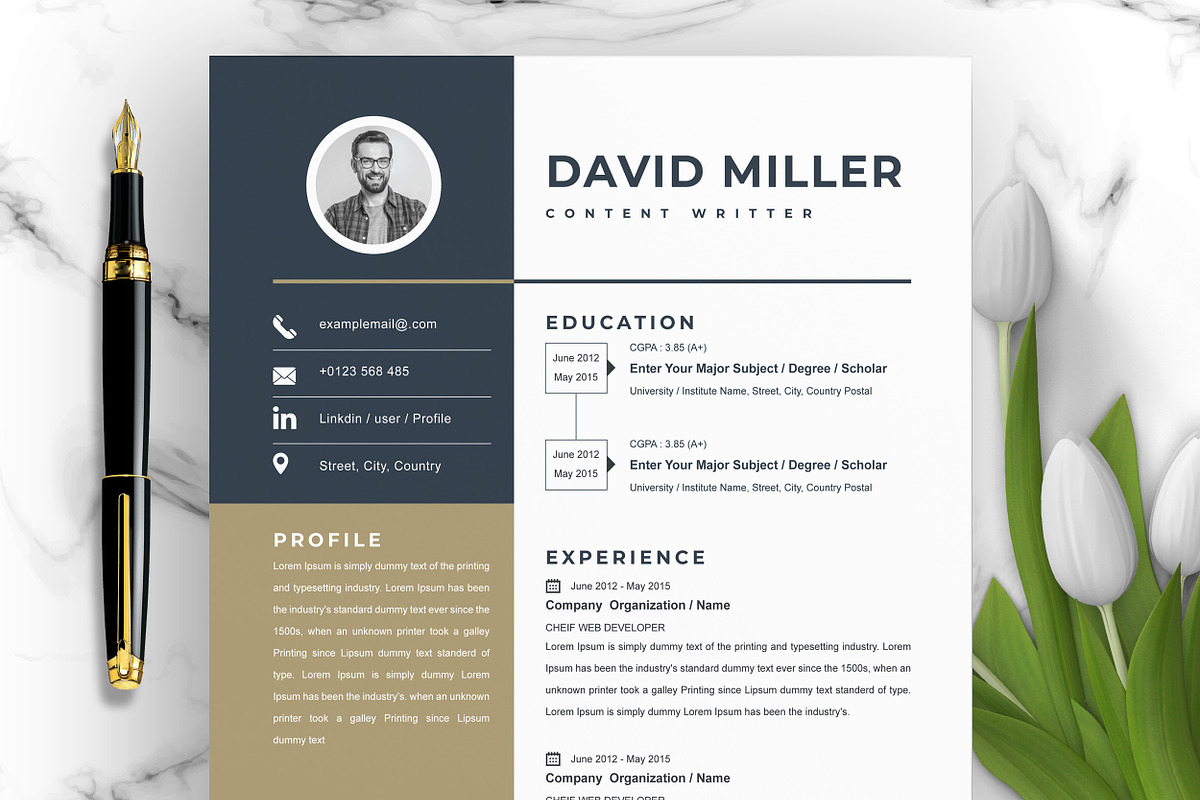 JOB WINNING RESUME - 50 TEMPLATES, a Resume Template by ResumeInventor (Photo 83 of 184)