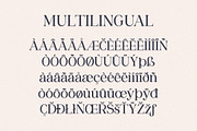 Sangect Display, a Serif Font by Pista Mova (Thumbnail 9 of 12)