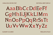 Casale Del Natura Font, a Serif Font by Marvadesign (Thumbnail 7 of 13)