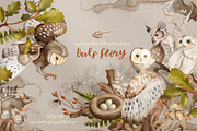 Owls Story watercolor forest clipart, an Animal Illustration by Alamella (Thumbnail 1 of 12)
