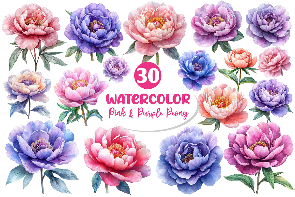 Pink & Purple Peony Flowers Clipart, an Illustration by Dream Creation (Photo 1 of 6)
